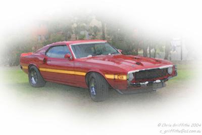 Mustang Muster 2004