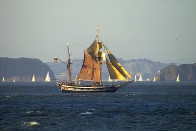 IMG08456.jpg