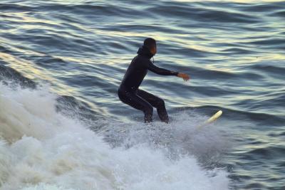 IMG08478.jpg