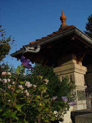 DSC07232.jpg