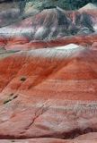 S1_2916.jpg