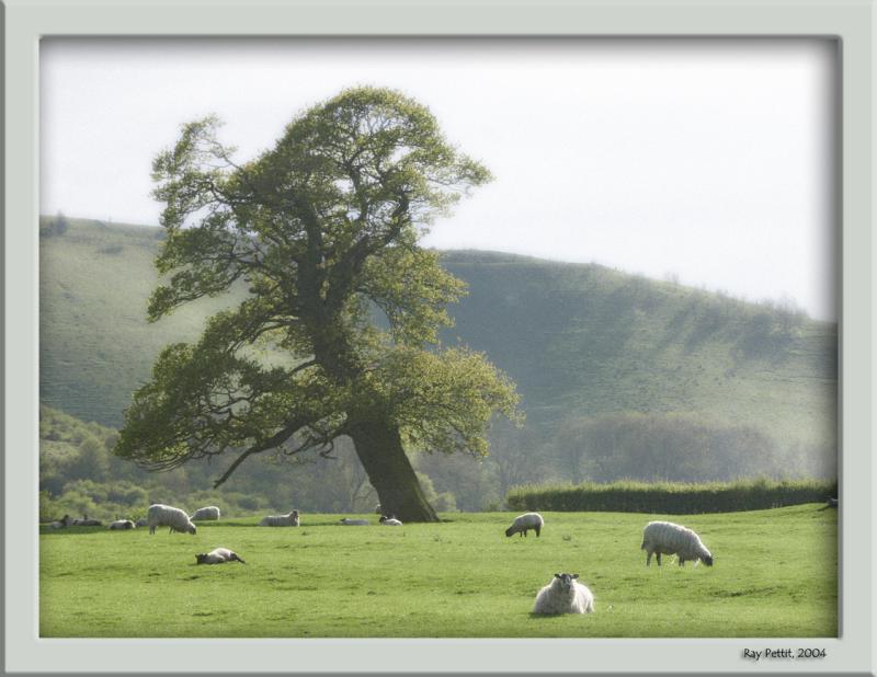 May 3 2004:<br> In the Country