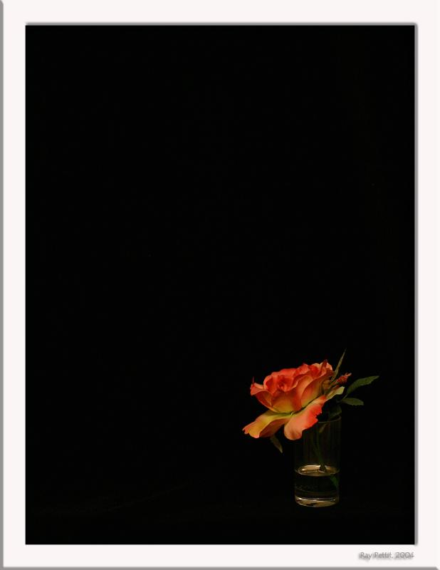 September 30 2004: <br> Lonesome Rose