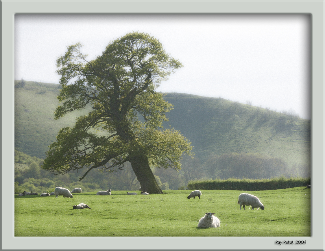 May 3 2004:<br> In the Country