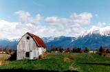 Barn .jpg