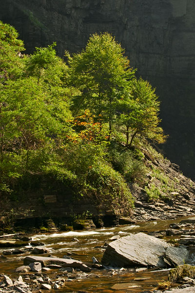 Taughannock Creek #2