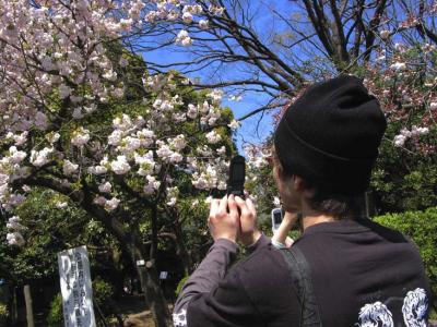 cell phone photographers, ueno park, tokyo