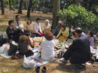 under the cherry blossoms