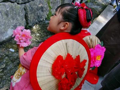 flower girl, nikko