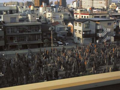 cemetery, yokohama