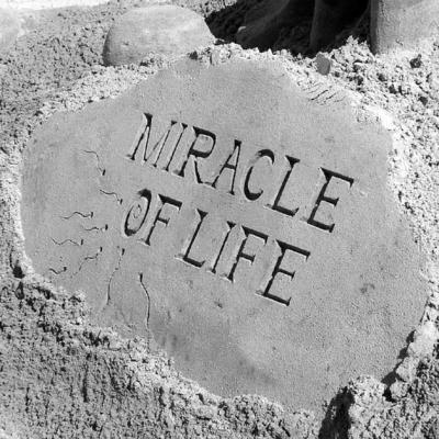 miracle-of-life-sign.