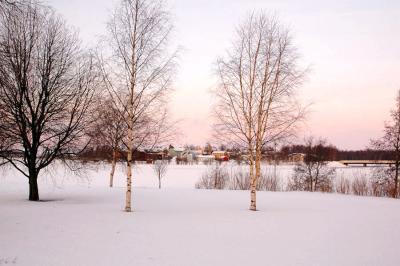 DSC_2268k.jpg