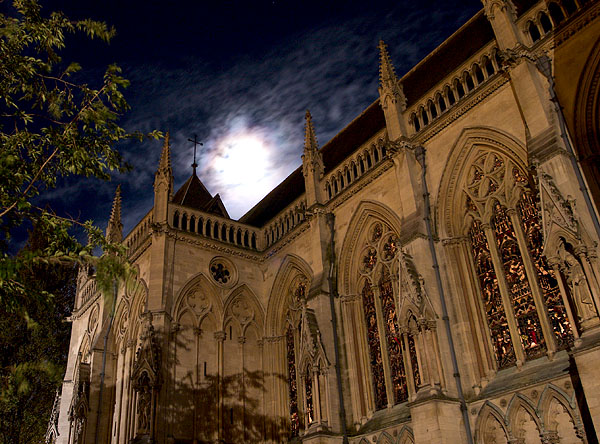 Moonlit Spires