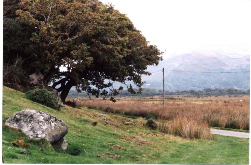 dolgellau 004.jpg