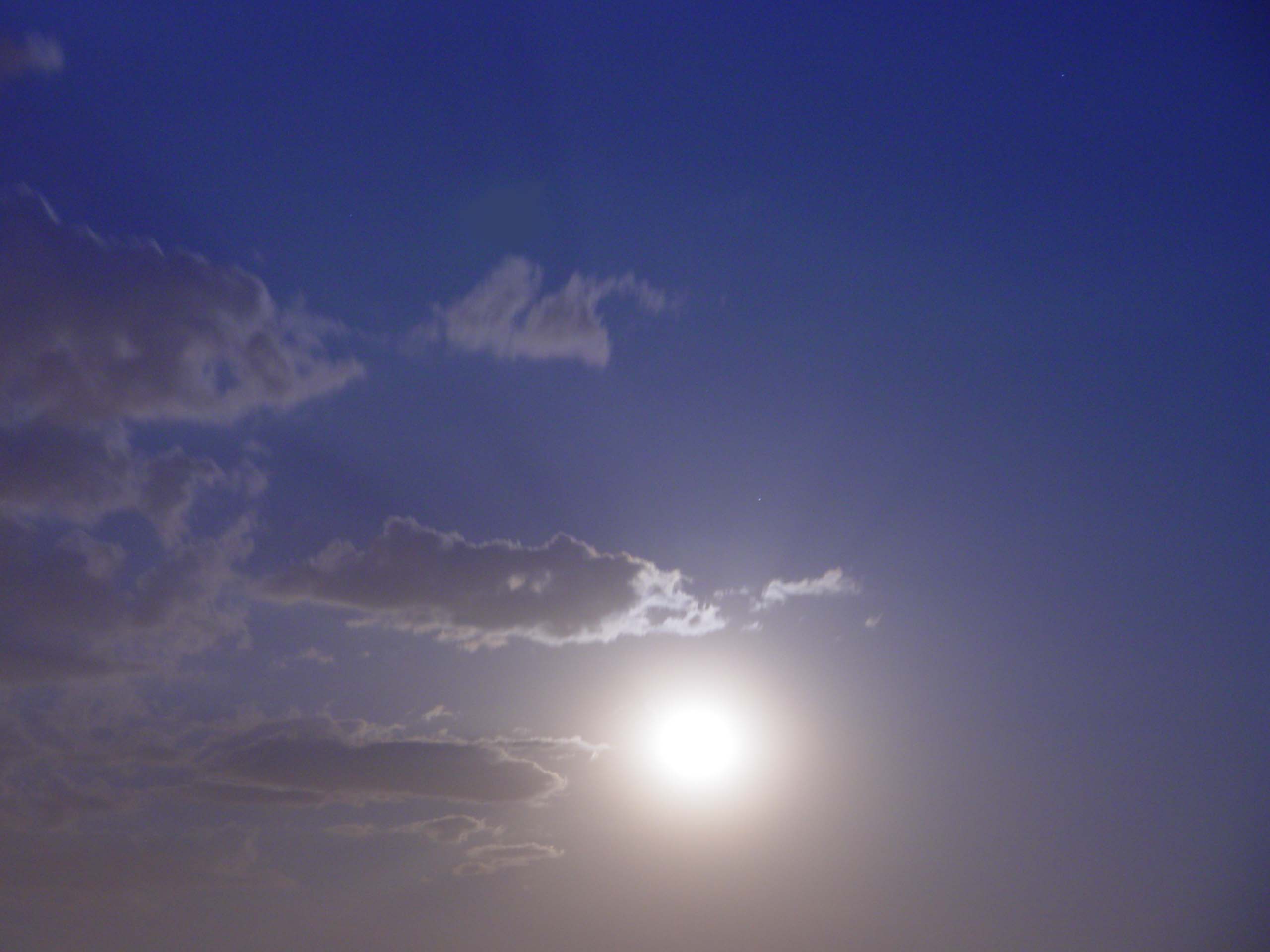 Moonshine DSC05338.JPG