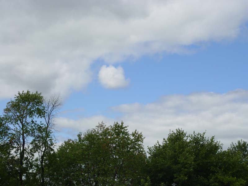 September 8, 2004<br>Stormy Periwinkle