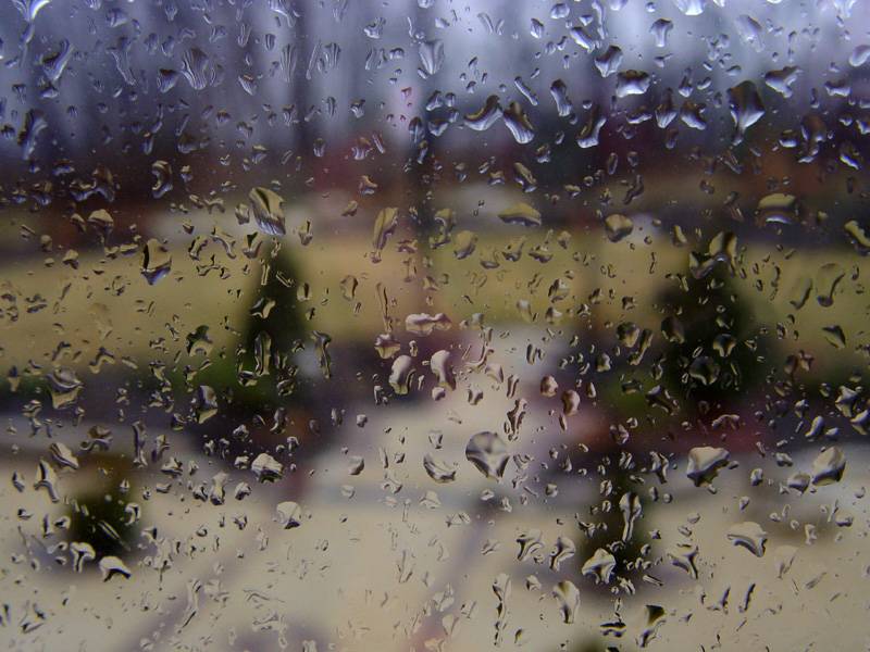 February 13, 2005<br><font size=2>Perfectly Rainy</font><br>Day 283