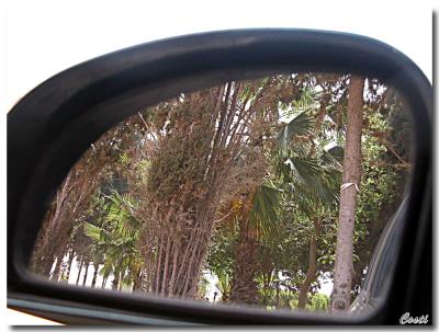 May 7th - through the car's rear mirror