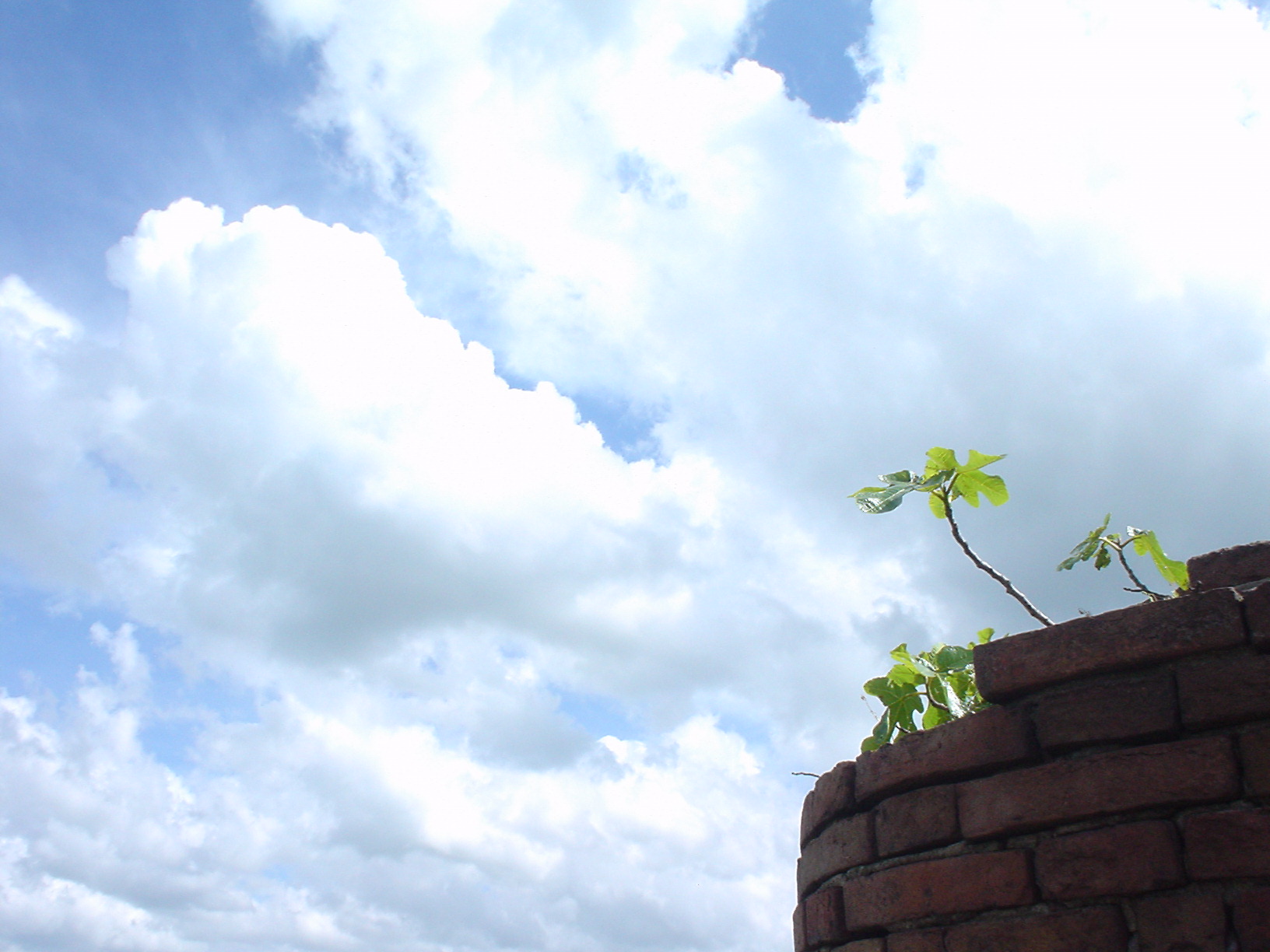 Reaching