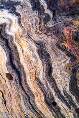 Wood Pattern Abstract