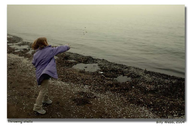 <b>Throwing Shells<br></b><i>Billy Webb</i>