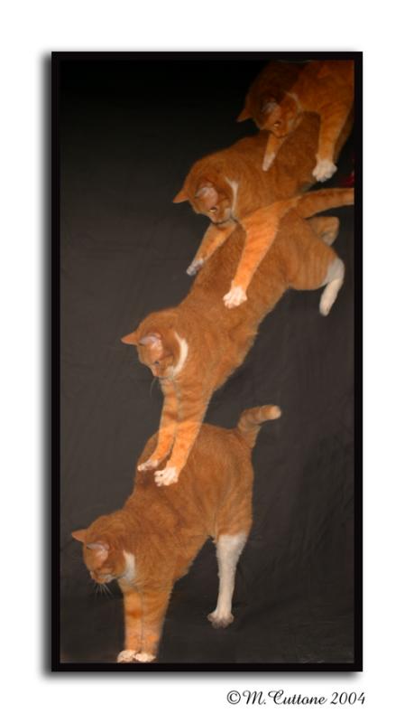 <b>High Jumper</b><br>By Mike C