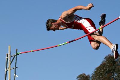 polevault * by bee1000 [10th place]