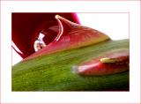 <b>... is pain</b><br> <i>by Karthik</i>