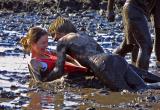 <b>Down n Dirty*</b><br>Enigmarogue