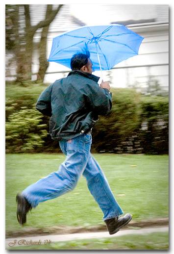 * Umbrella Runner by Lonnit Rysher