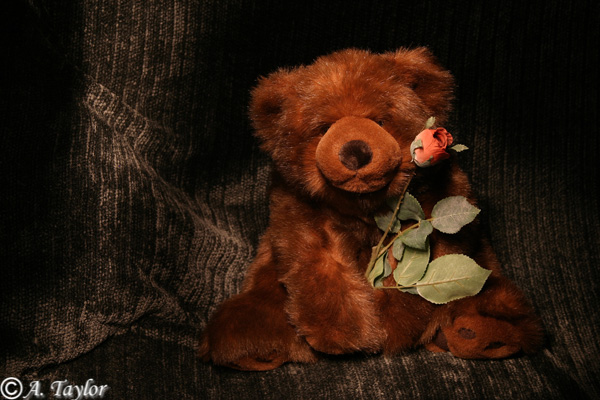 <b>UnBearably In Love*</b><br>camptown