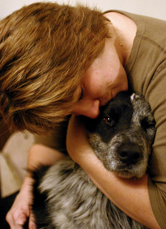 <b>Womans Best Friend</b><br>Phil Johnson