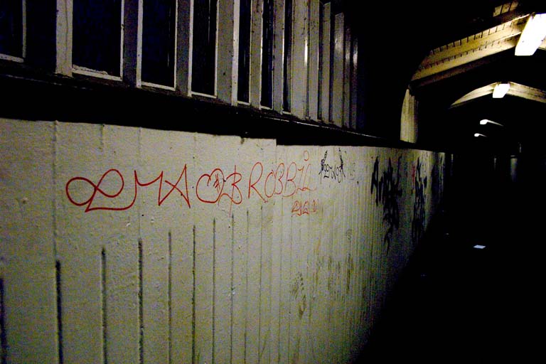 Ema Loves Robbie Forever *