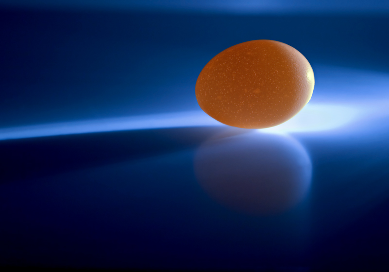 <b>9th Place</b><br>Just an Egg<br><i>by Cindy Diaz</i>