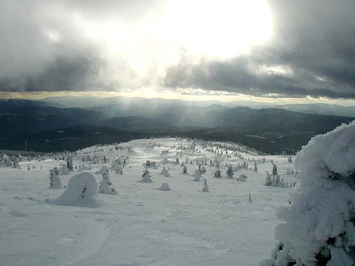 Snow ghosts ... Move into the light