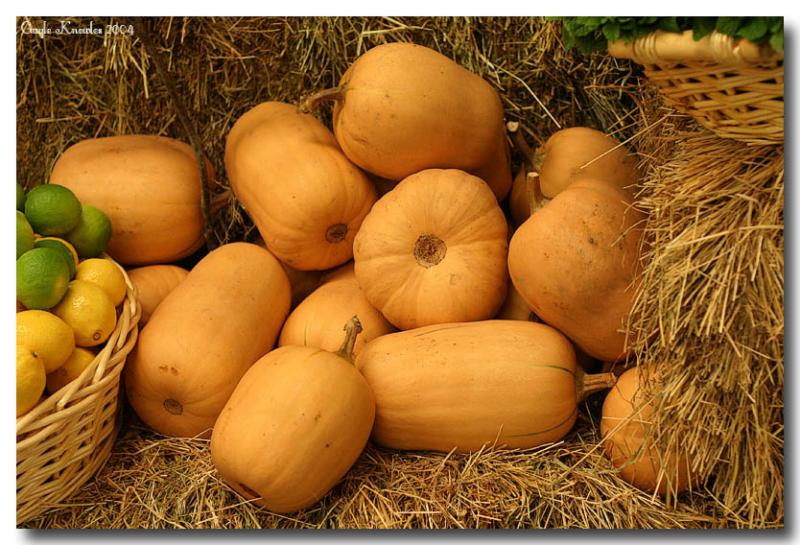Harvest Fare (*)