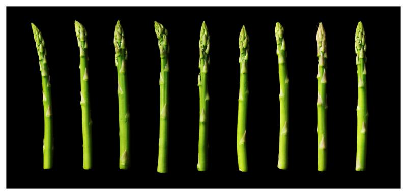 Art of Asparagus *