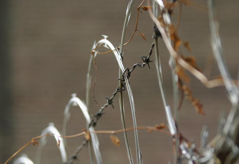 Preservation Through Invulnerability*