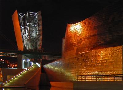 Guggenheim Bilbao by Night*