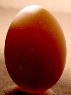 Egg  *
