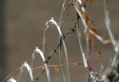 Preservation Through Invulnerability*