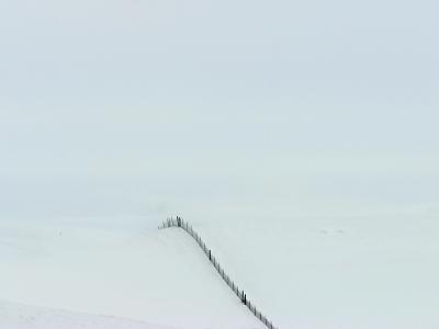 6087_snowfence_CS.jpg