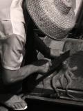 Catch of the Day*