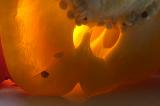 Inner Pepper<BR>Ann Chaikin
