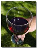 A Toast To You!