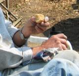 His Daily Bread...or donut, as the case may be *