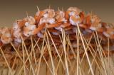 Shrimp for the Barbie<br>* Ann Chaikin