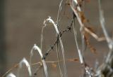 Preservation Through Invulnerability*