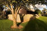 Evening Shade (*)