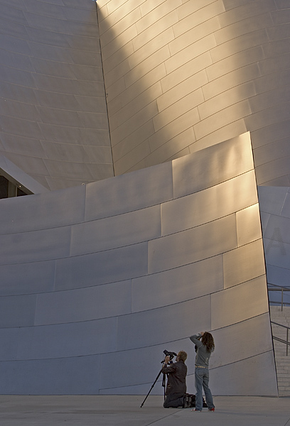 Disney Concert Hall Detail #4